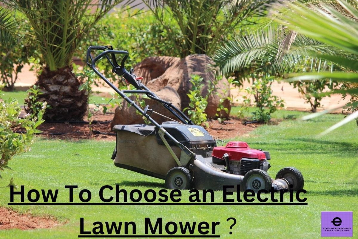 How to choose an electric lawn mower